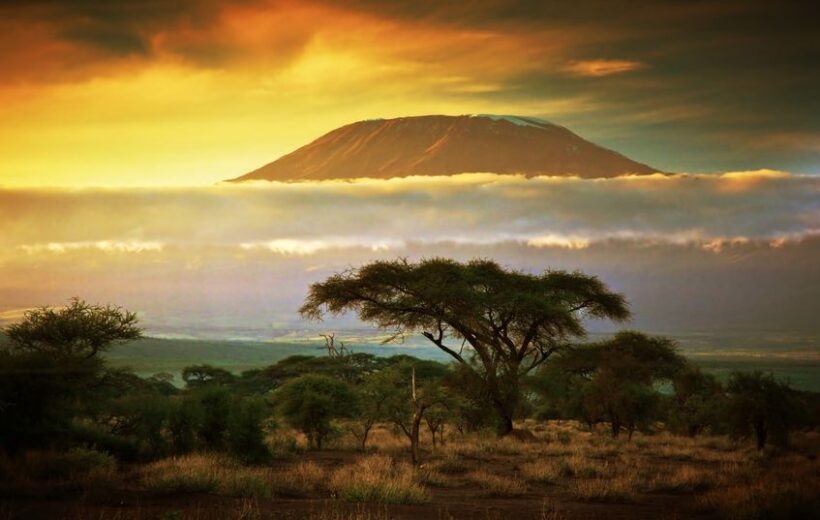 Amboseli-Nationalpark & Diani Beach (11 Tage)