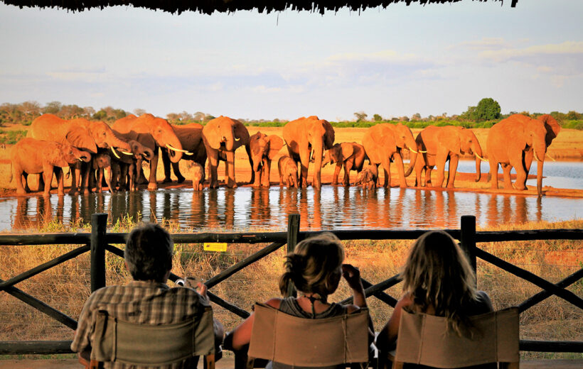 Amboseli- & Tsavo-East-Nationalpark mit Diani Beach (13 Tage)