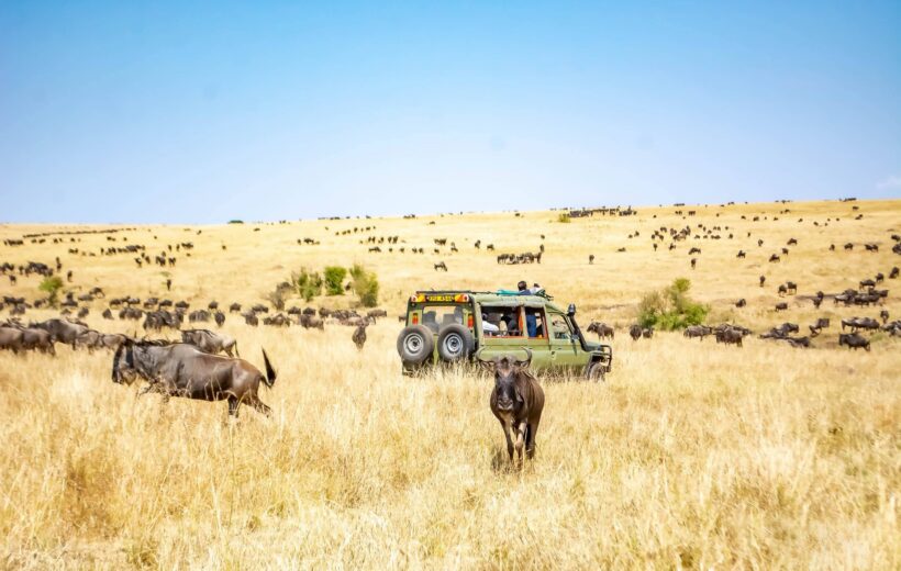 Masai Mara Gruppen-Safari (4 Tage)